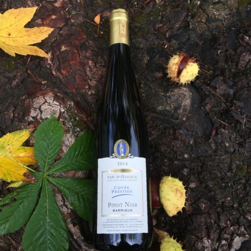 Alsace Pinot Noir Prestige Bio 2014 élevage en barrique (750ml)