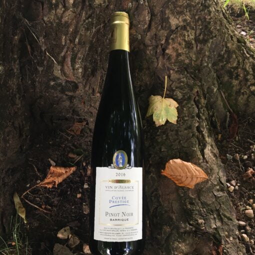 Pinot Noir Prestige Bio 2016