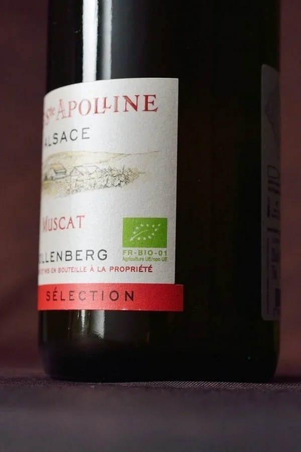 Alsace Muscat Sélection Bio 2023 (750ml) – Image 2