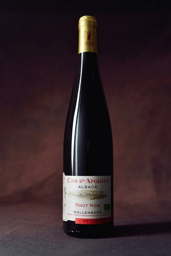 Alsace Pinot Noir Sélection BIO 2024 (750ml)