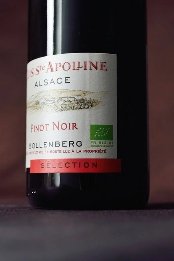 Alsace Pinot Noir Sélection BIO 2024 (750ml) – Image 2
