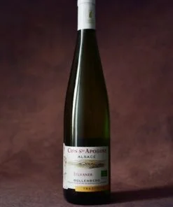 Alsace Sylvaner Tradition 2022 Bio (750ml)
