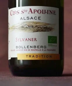Alternative view of Alsace Sylvaner Tradition 2022 Bio (750ml)