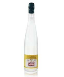 Eau de Vie de Marc de Sylvaner - 700 ml